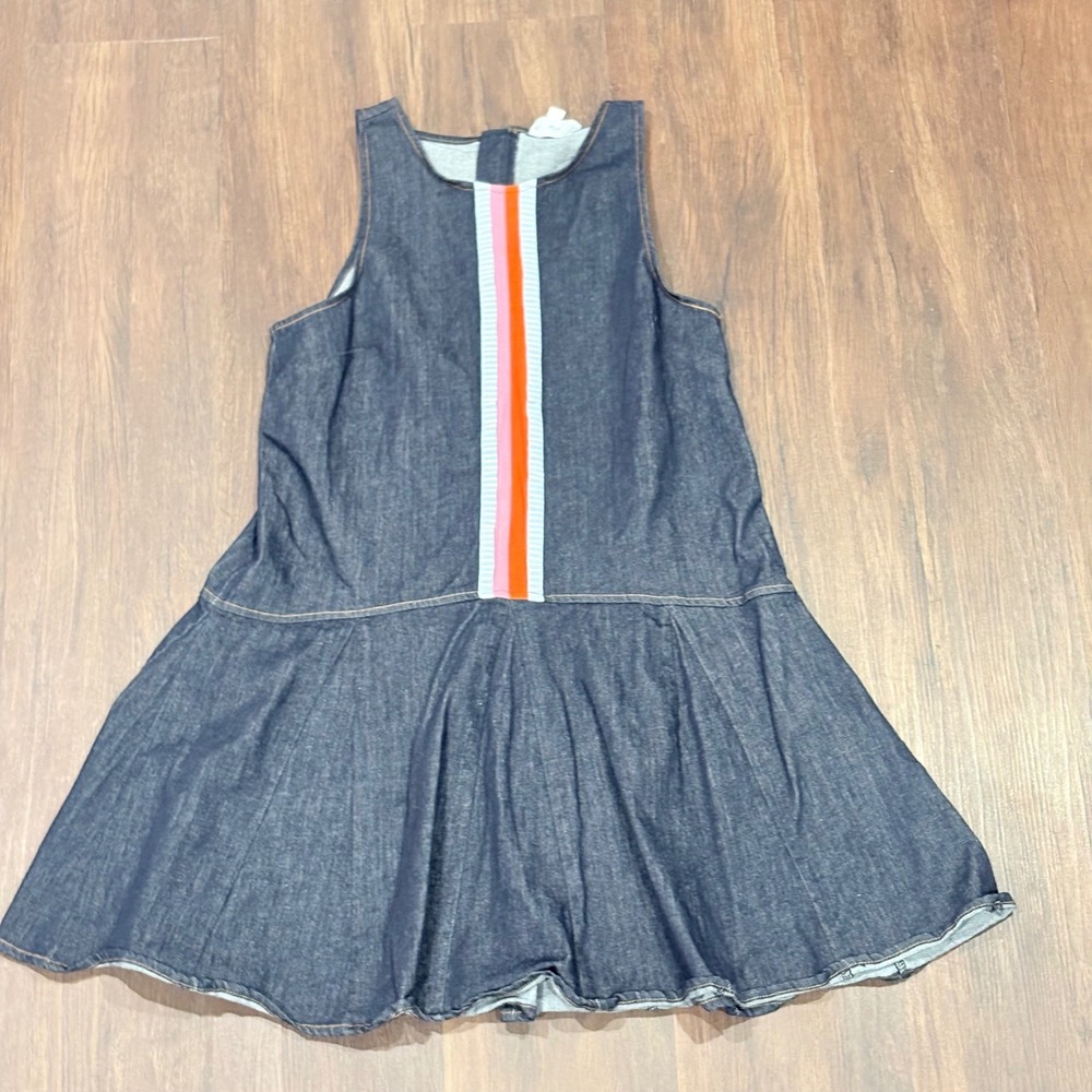THML Sleeveless Denim Drop Waist Dress Layering Vibrant Vertical Center Stripe S
